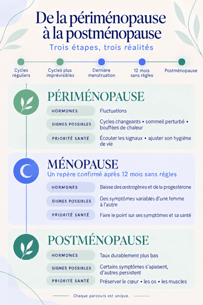 Infographie des trois étapes de la ménopause : périménopause, ménopause confirmée après 12 mois sans règles et postménopause, avec les signes et priorités santé de chacune.